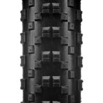 DRAGSTER 29x2 30 TLR 2C PRO SHIELD 60TPI NEGRO