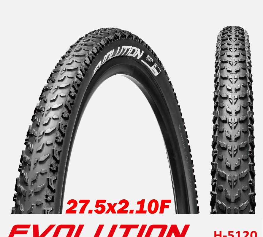 NEUMATICO EVOLUTION 27 5x2 10F SHARK SKIN 2C 60TPI