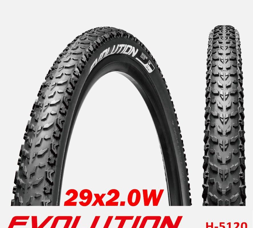 NEUMATICO EVOLUTION 29x2 0W 30TPI RIGIDO