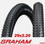 NEUMATICO GRAHAM 29x2 20F TR DINO SKIN S/C 120TPI