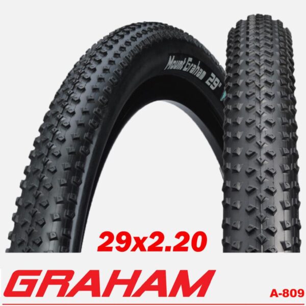 NEUMATICO GRAHAM 29x2 20F TR DINO SKIN S/C 120TPI