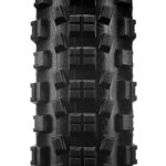 ROCK & ROLLER 29x2 30 TLR 2C XC EPIC SHIELD 120TPI