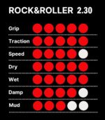 ROCK & ROLLER 29x2 30 TLR 2C XC EPIC SHIELD 120TPI
