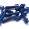 TORNILLOS ALU7075T6 M6X20 AZUL ANODIZADO  10UNI