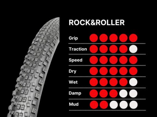 ROCK & ROLLER 29x2 20 TLR 2C XC PRO SHIELD 60TPI N