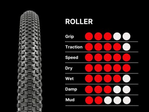 ROLLER 29x2 10 TLR 2C XC RACE 120TPI NEG  DELANTE