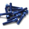 TORNILLOS ALU7075T6 M5X25 AZUL ANODIZADO  10UNI